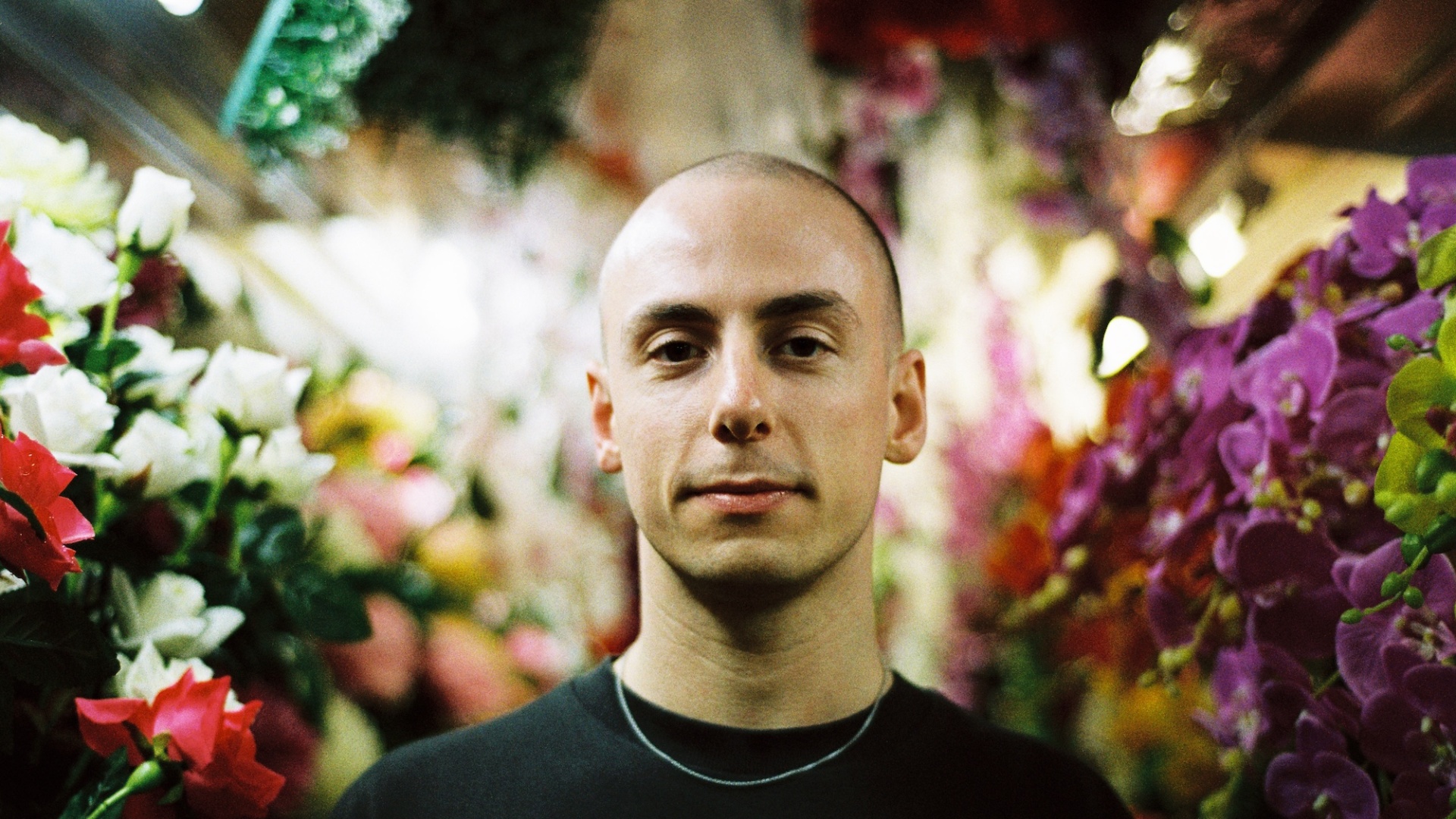 Palms Trax
